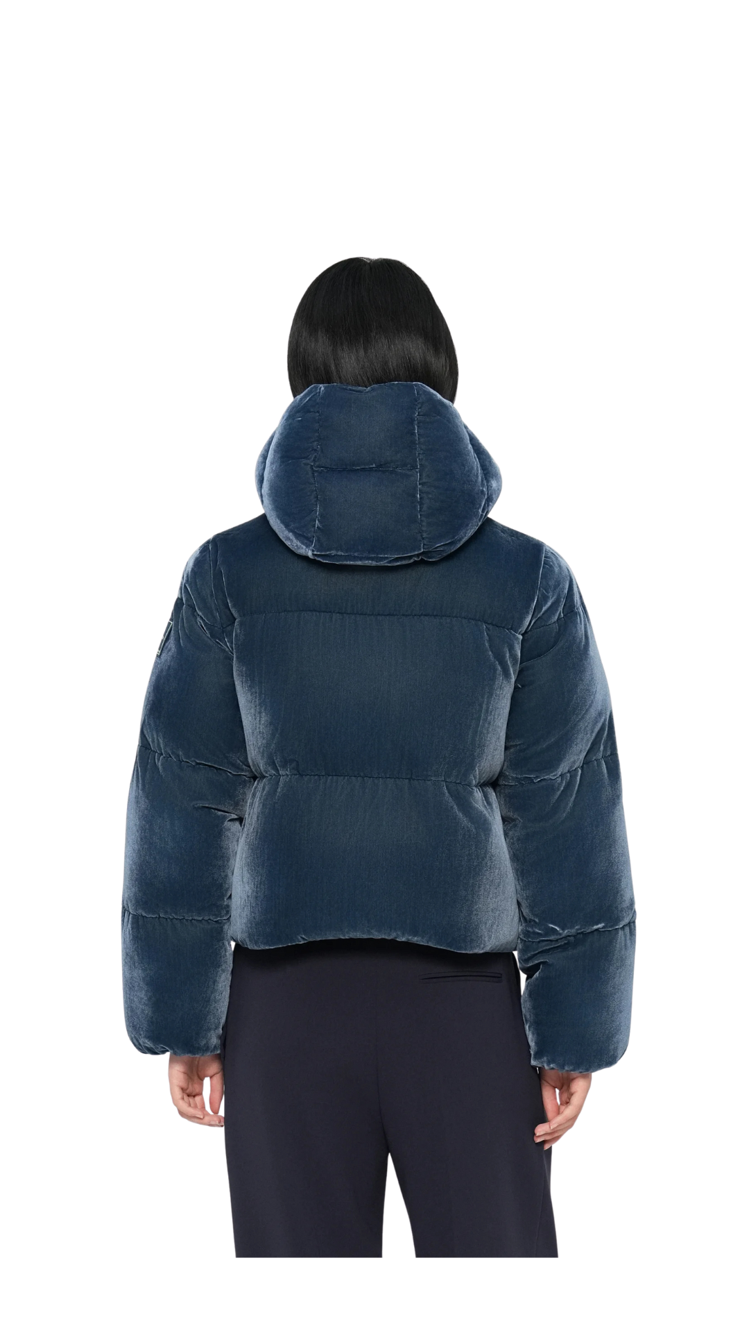Veste Elisabetta Franchi matelassée en velours