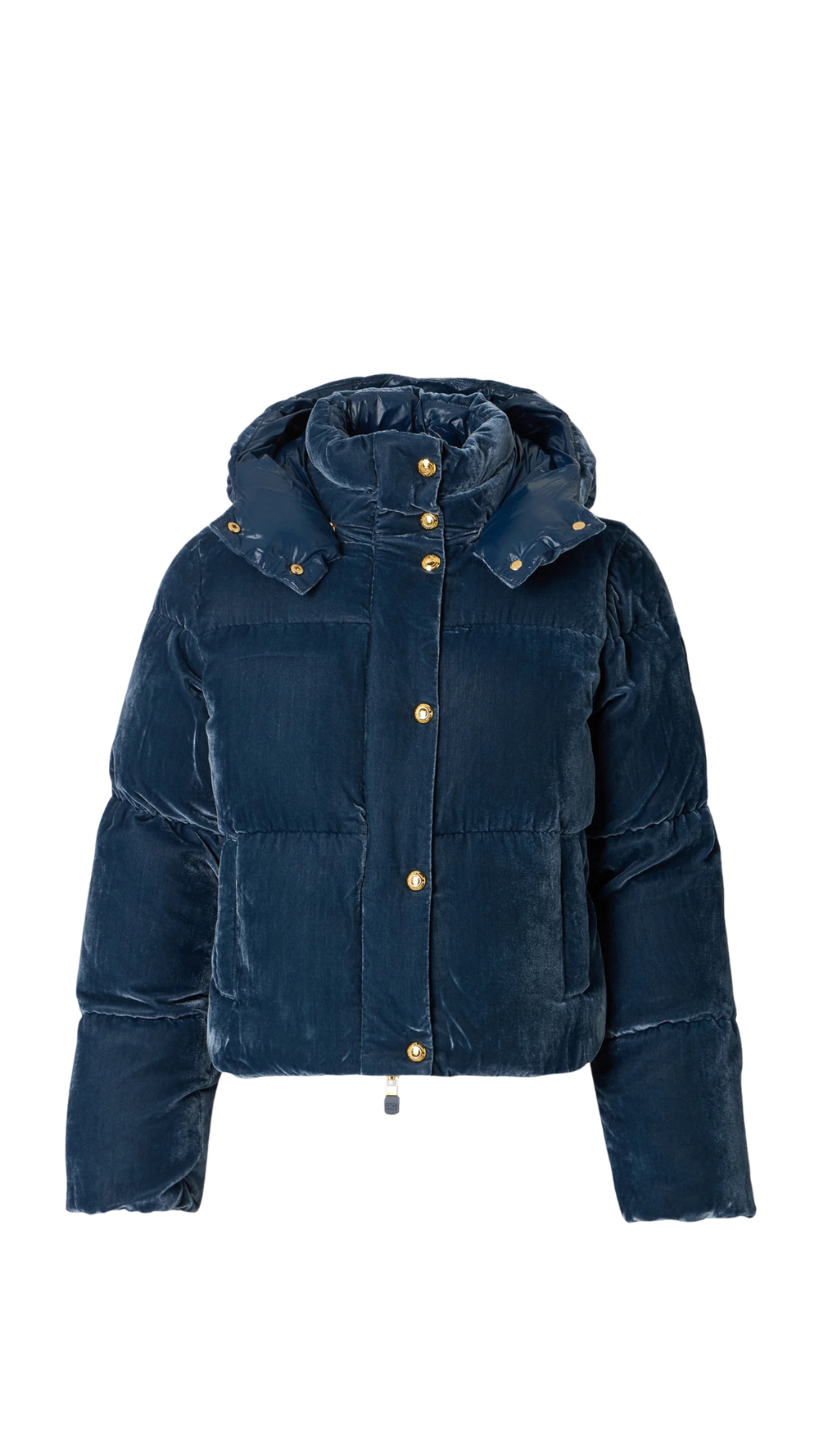 Veste Elisabetta Franchi matelassée en velours